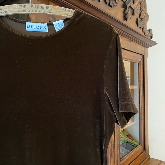 Merona Vintage Brown Velvet Dress - Picture 4 of 6